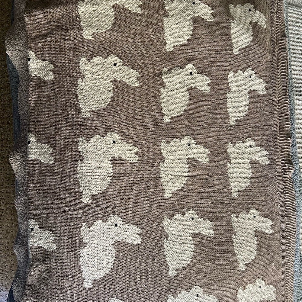 Cupcakes and Cashmere Bunny knit blanket